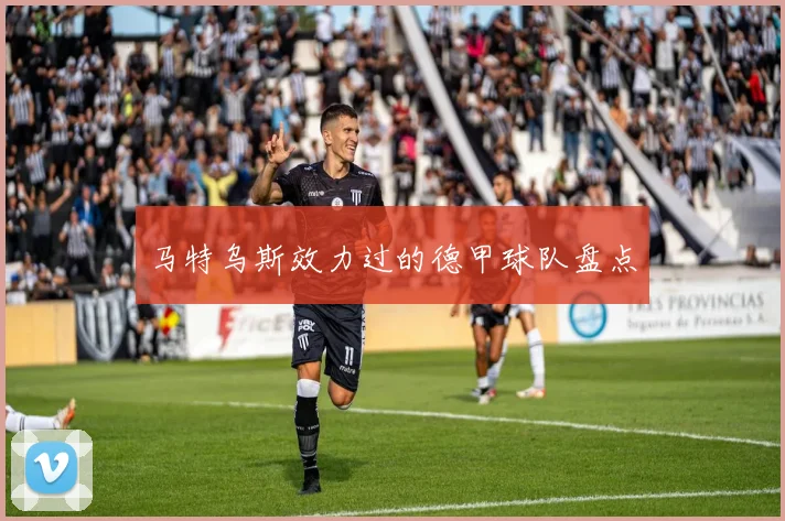 马特乌斯效力过的德甲球队盘点