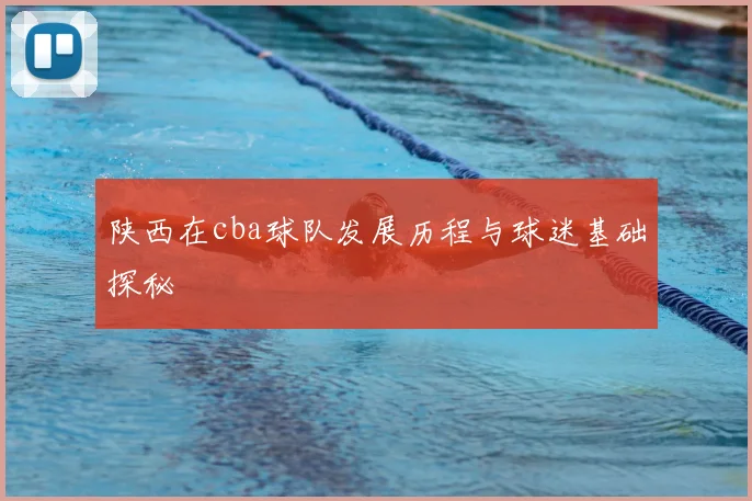 陕西在cba球队发展历程与球迷基础探秘