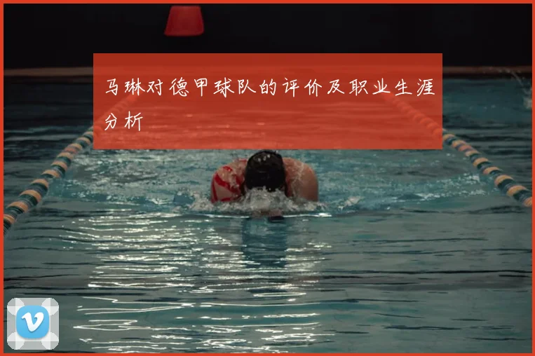 马琳对德甲球队的评价及职业生涯分析