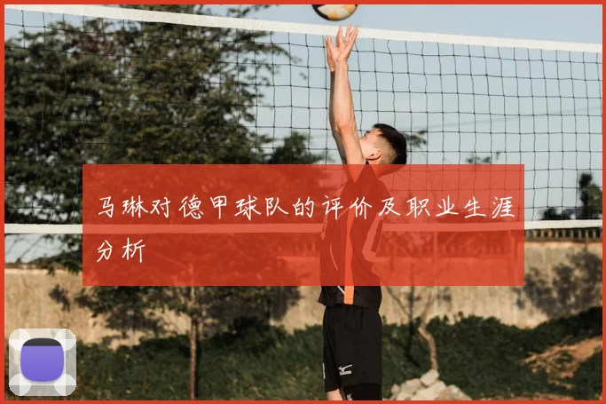马琳对德甲球队的评价及职业生涯分析