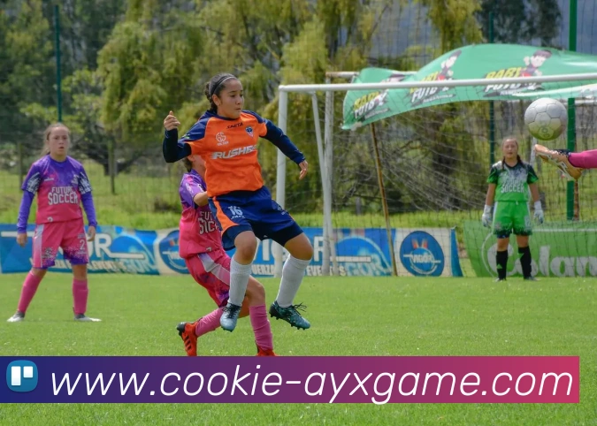 爱游戏发展历程